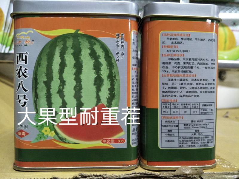 西农八号懒汉西瓜种子易管理含糖14度亩产14000斤皮薄