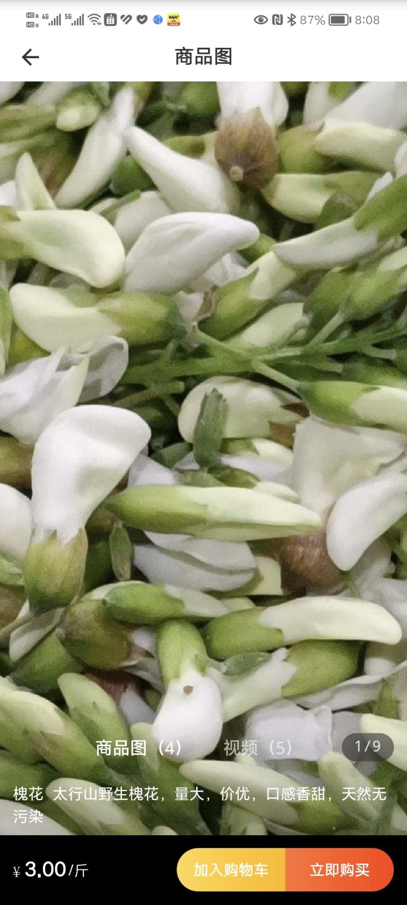 杨槐花天然野生槐花花苞花骨朵槐花