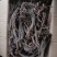 特级真野生甘肃***紫丹参深山采挖新货正品无硫精选批