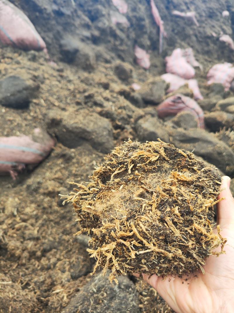 种植草炭土纯草炭0添加有机蔬果鑫立里