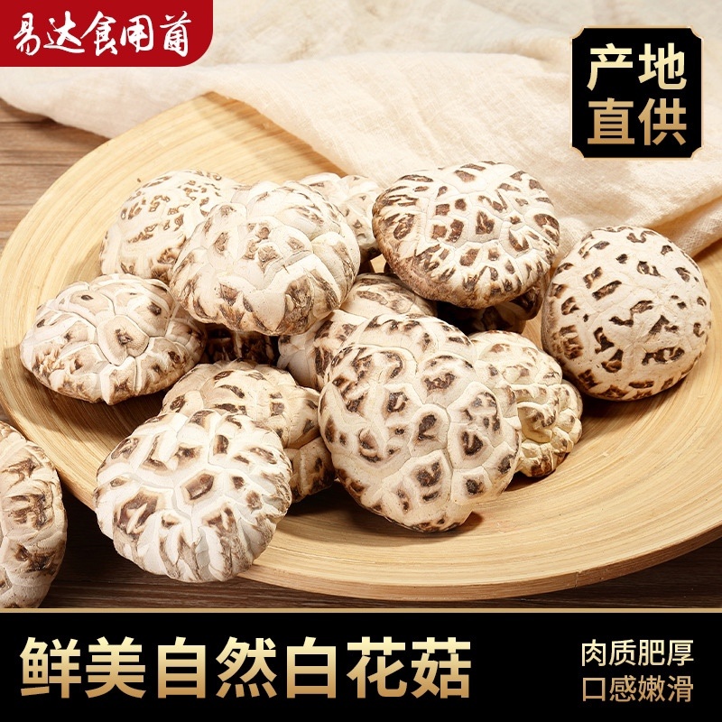 泌阳花菇带腿白花菇，原产地发货，量大从优