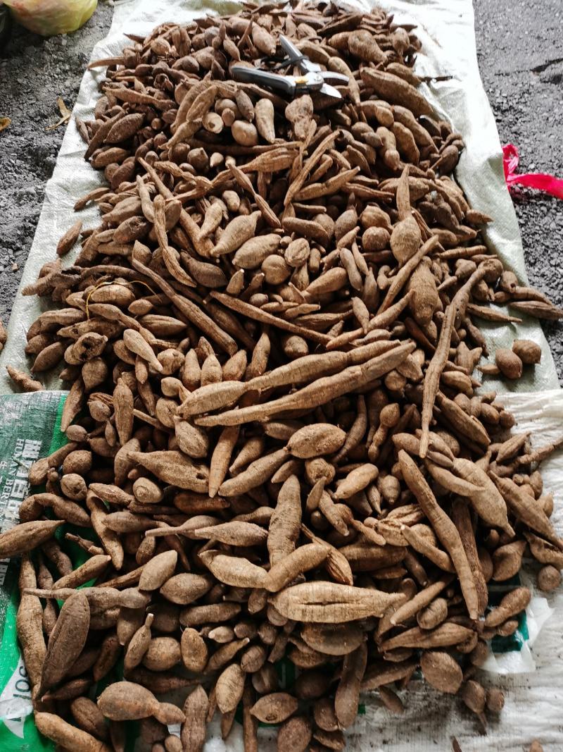 广西野生黑皮牛大力，货不是很多，要货先问
