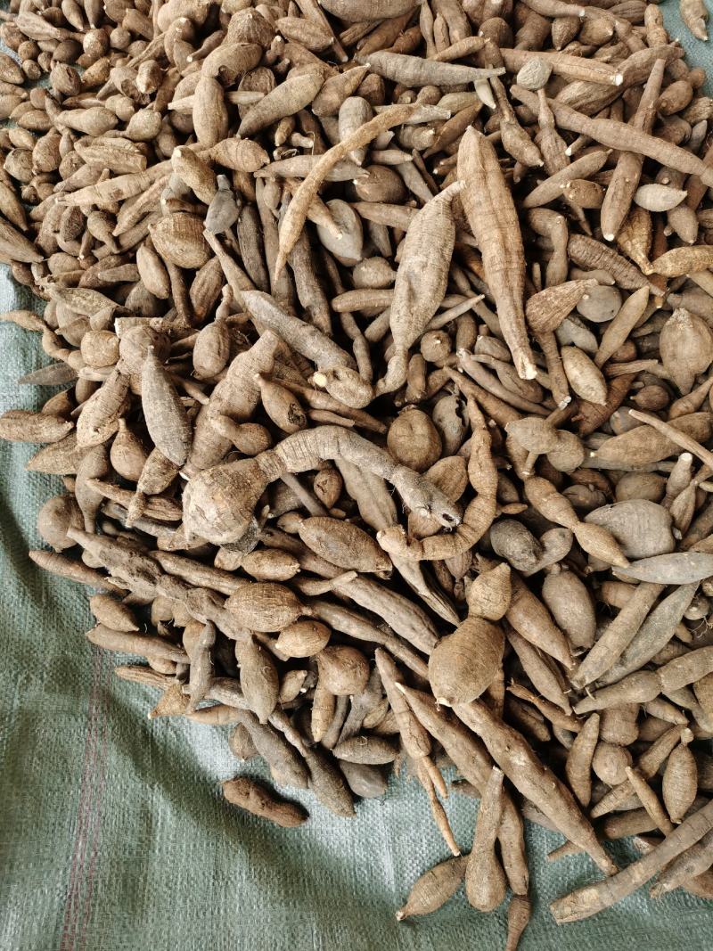 广西野生黑皮牛大力，货不是很多，要货先问