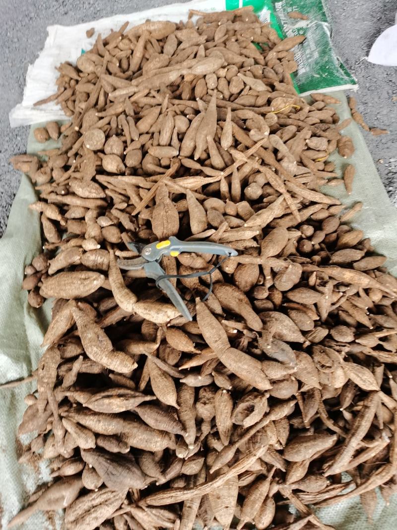 广西野生黑皮牛大力，货不是很多，要货先问