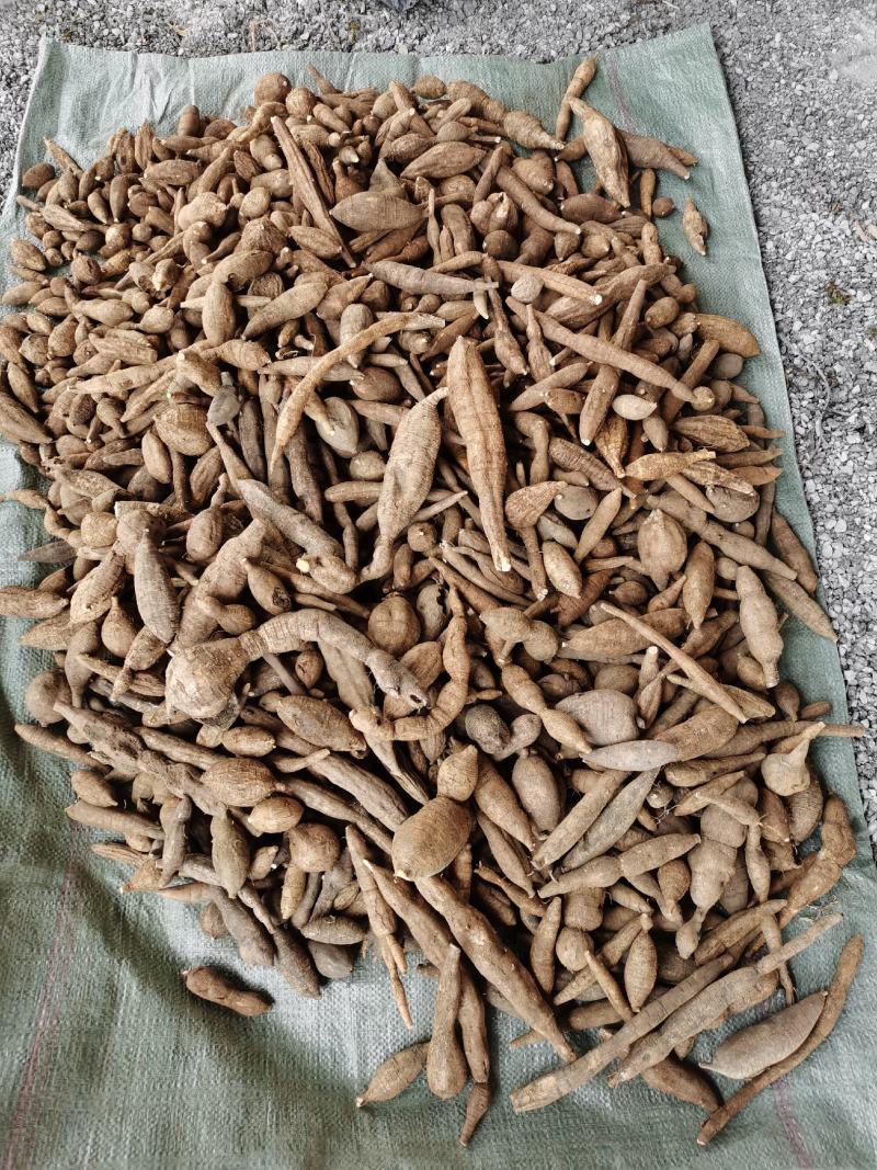 广西野生黑皮牛大力，货不是很多，要货先问