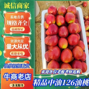 【产地直发】精品中油126号油桃，5号油桃陆地油桃