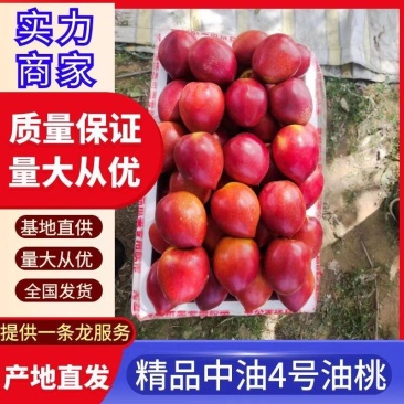 精品中油4号油桃，中油5号油桃陆地油桃，大量供应电商