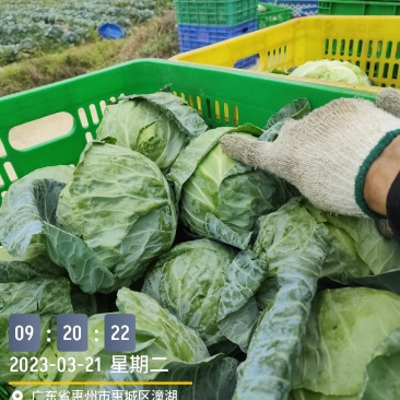 广东省，靓京包