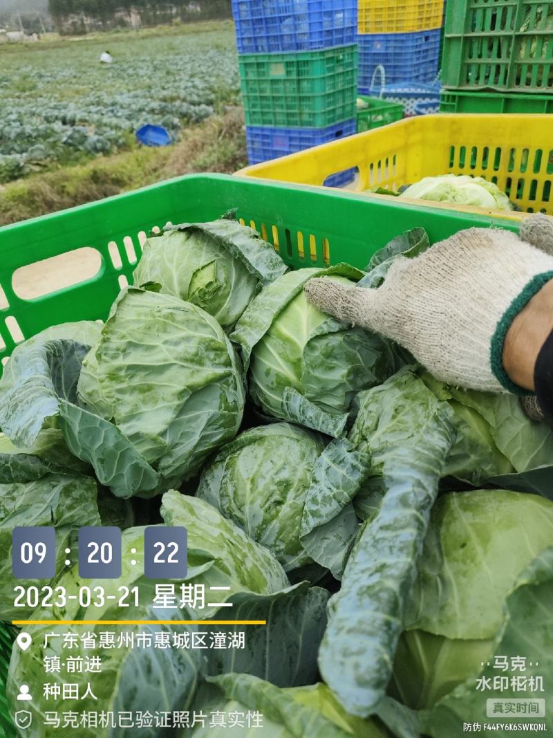 广东省，靓京包