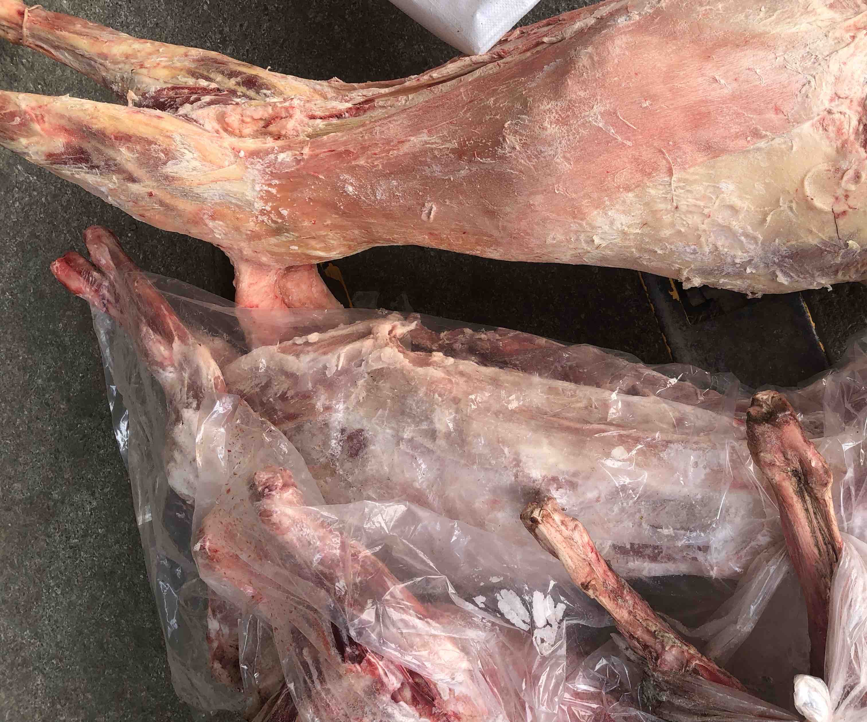 展示一只完整处理后的白条羊,体态饱满,色泽鲜亮 白条羊整体展示