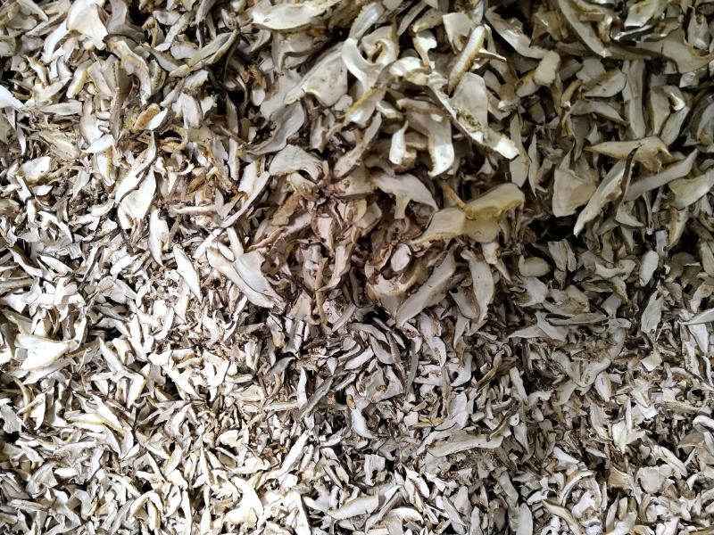 这种规格香菇片，一分脚无薄膜色泽雪白新菇，可以产地考察