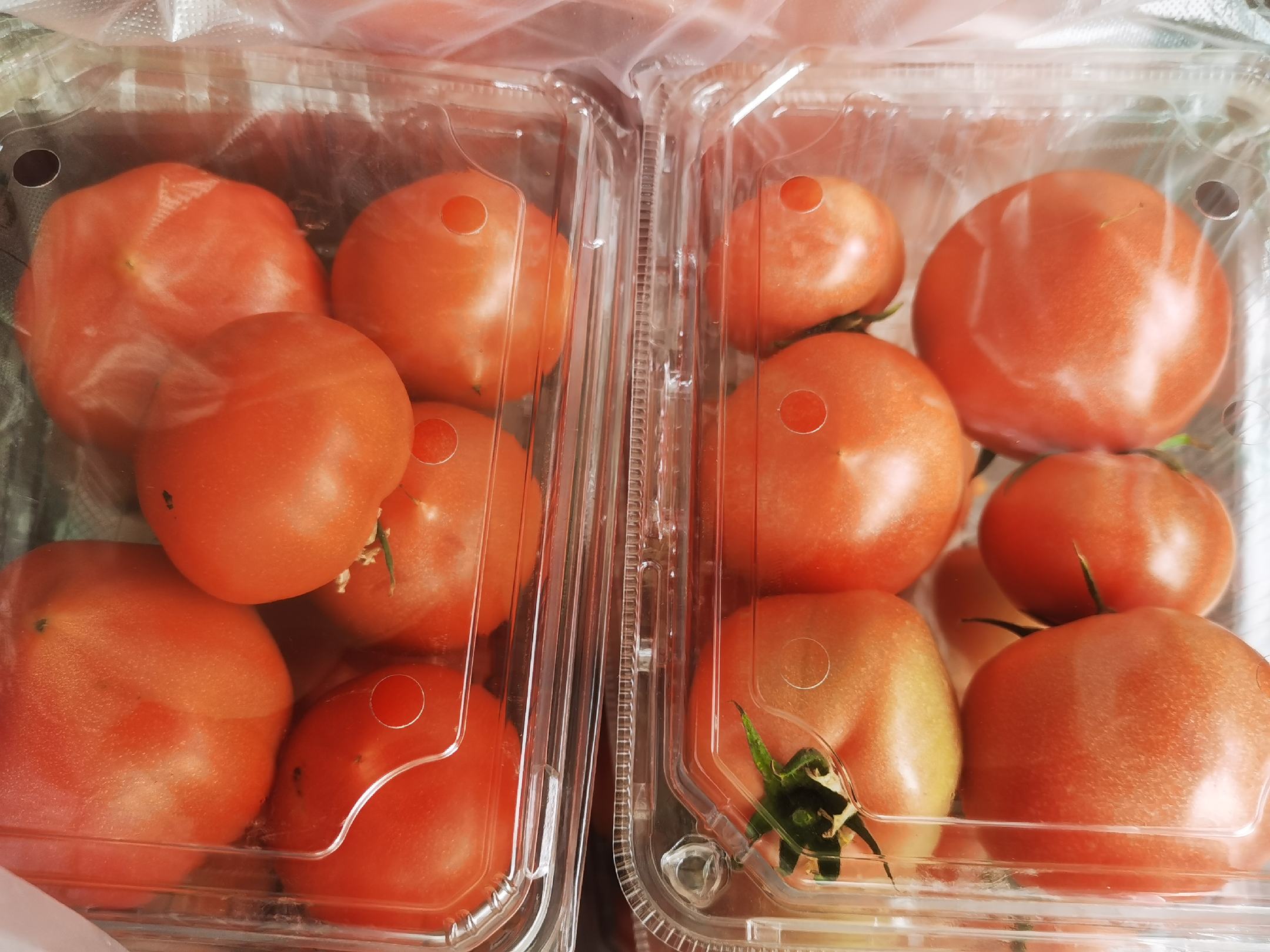 西红柿切片清新图