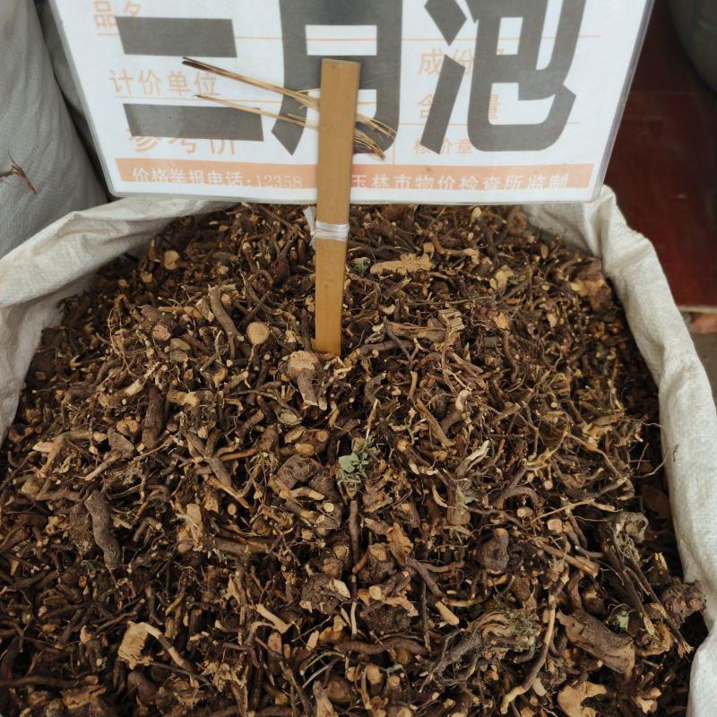 三月泡茅莓根货源充足，保证质量10公斤以上更优