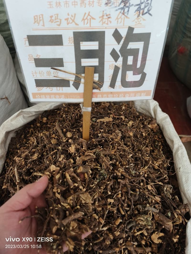 三月泡茅莓根货源充足，保证质量10公斤以上更优