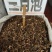 三月泡茅莓根货源充足，保证质量10公斤以上更优