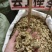 中药材丢了棒五味藤新货货源充足批发零售