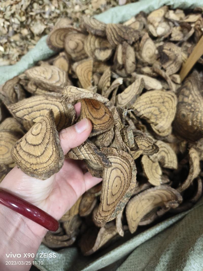 中药材麻骨风新货货源充足批发零售