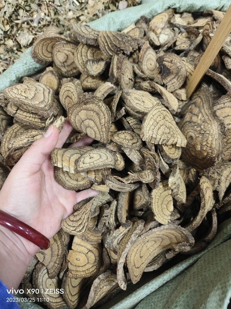 中药材麻骨风新货货源充足批发零售