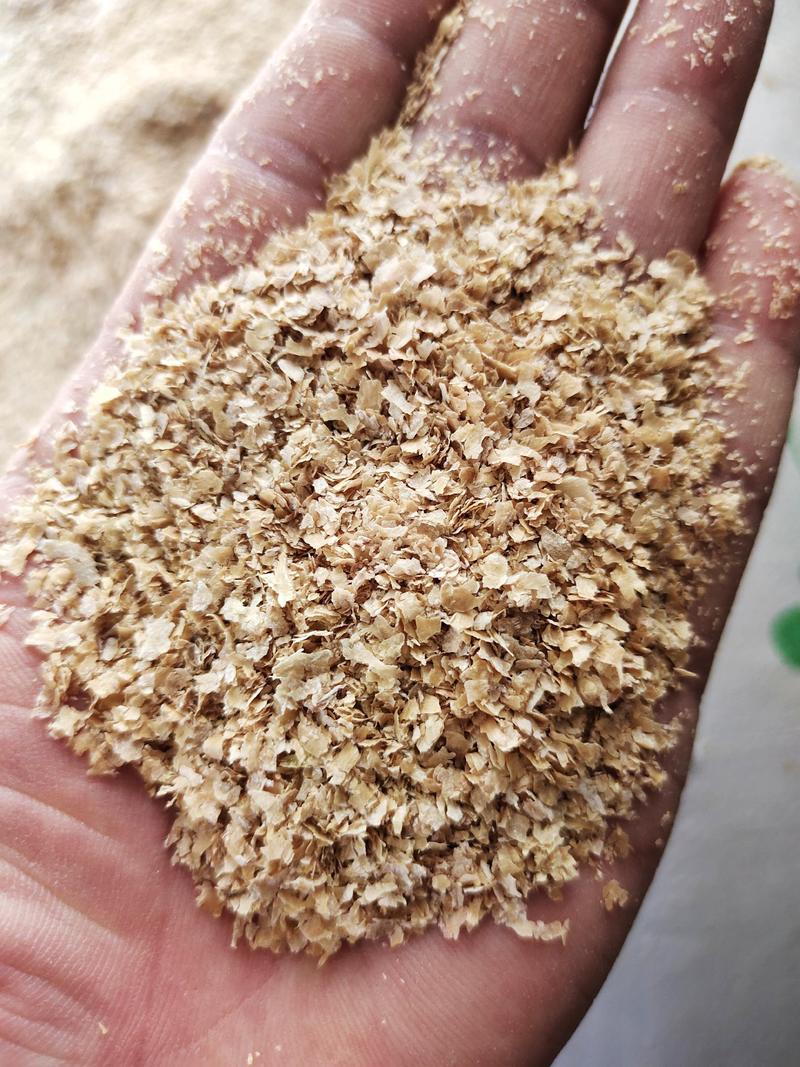 批发小麦麸皮牧场猪牛羊养殖场养殖饲料原料添加