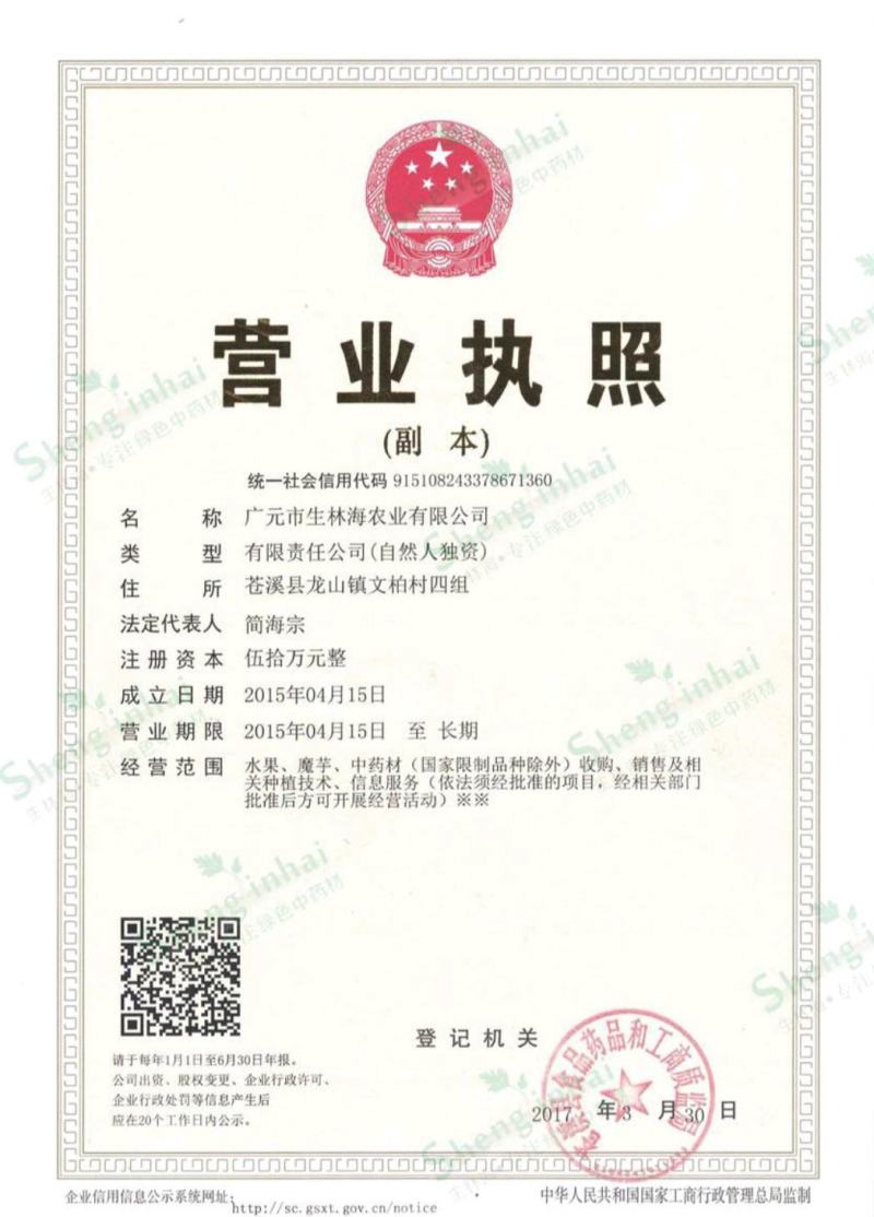 白及个子，半野生紫花三叉白芨，无硫足干不打药