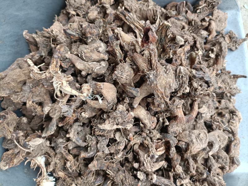 白及个子，半野生紫花三叉白芨，无硫足干不打药