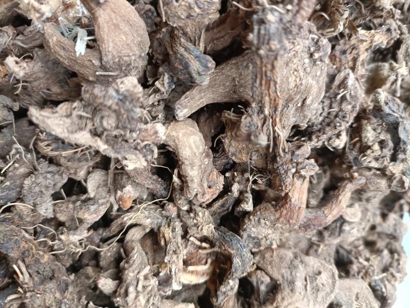 白及个子，半野生紫花三叉白芨，无硫足干不打药