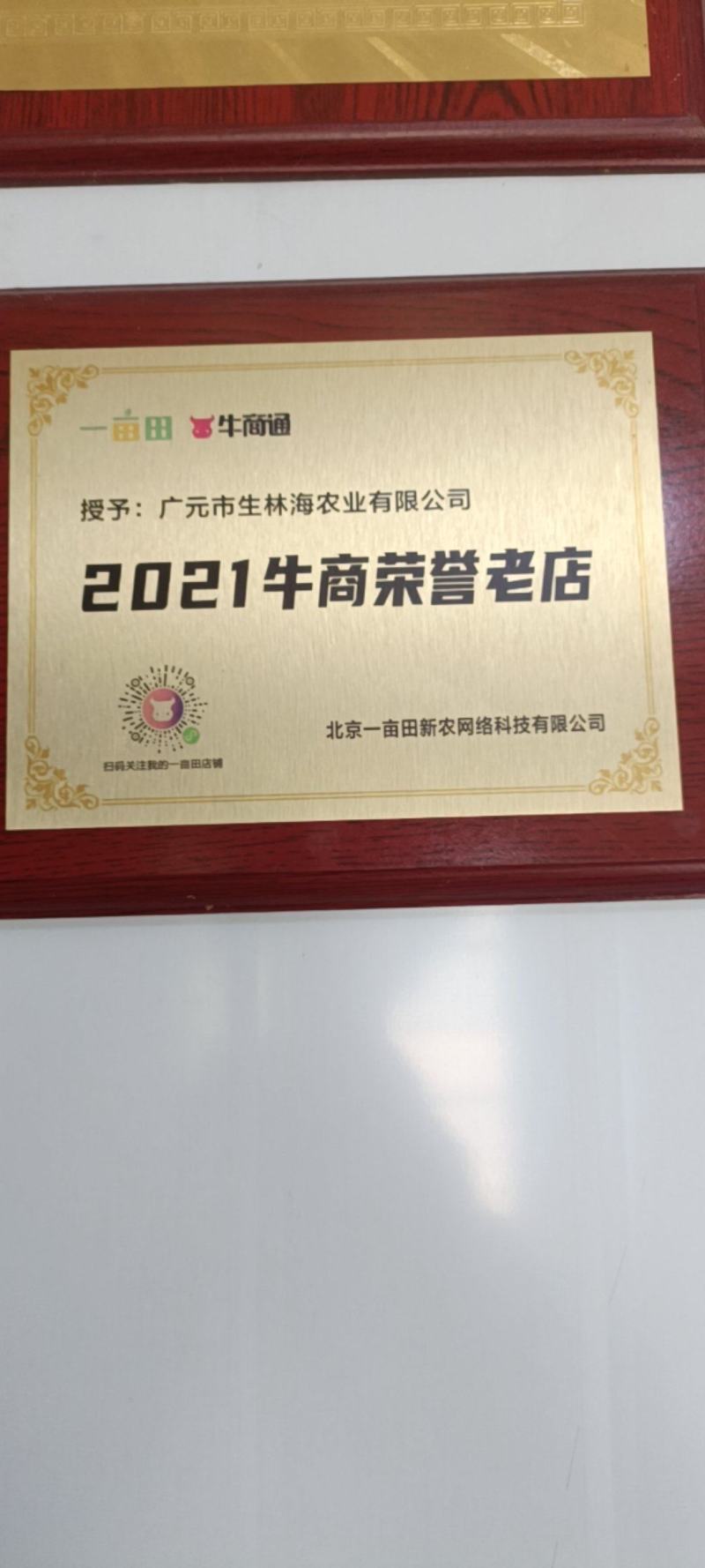 白及个子，半野生紫花三叉白芨，无硫足干不打药