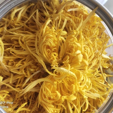 金丝皇菊