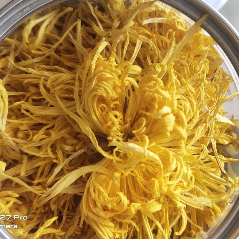 金丝皇菊