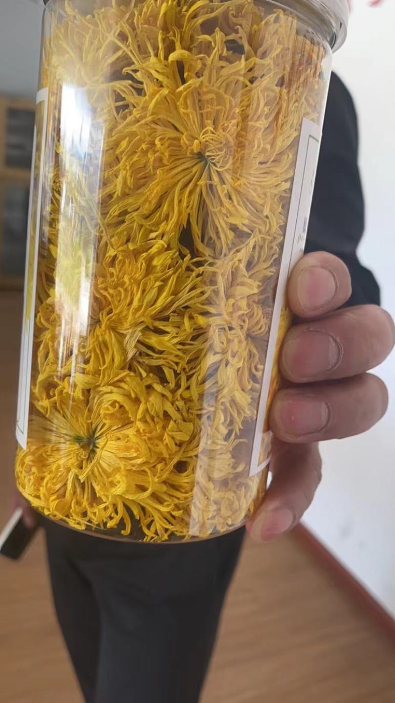 金丝皇菊
