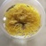 金丝皇菊