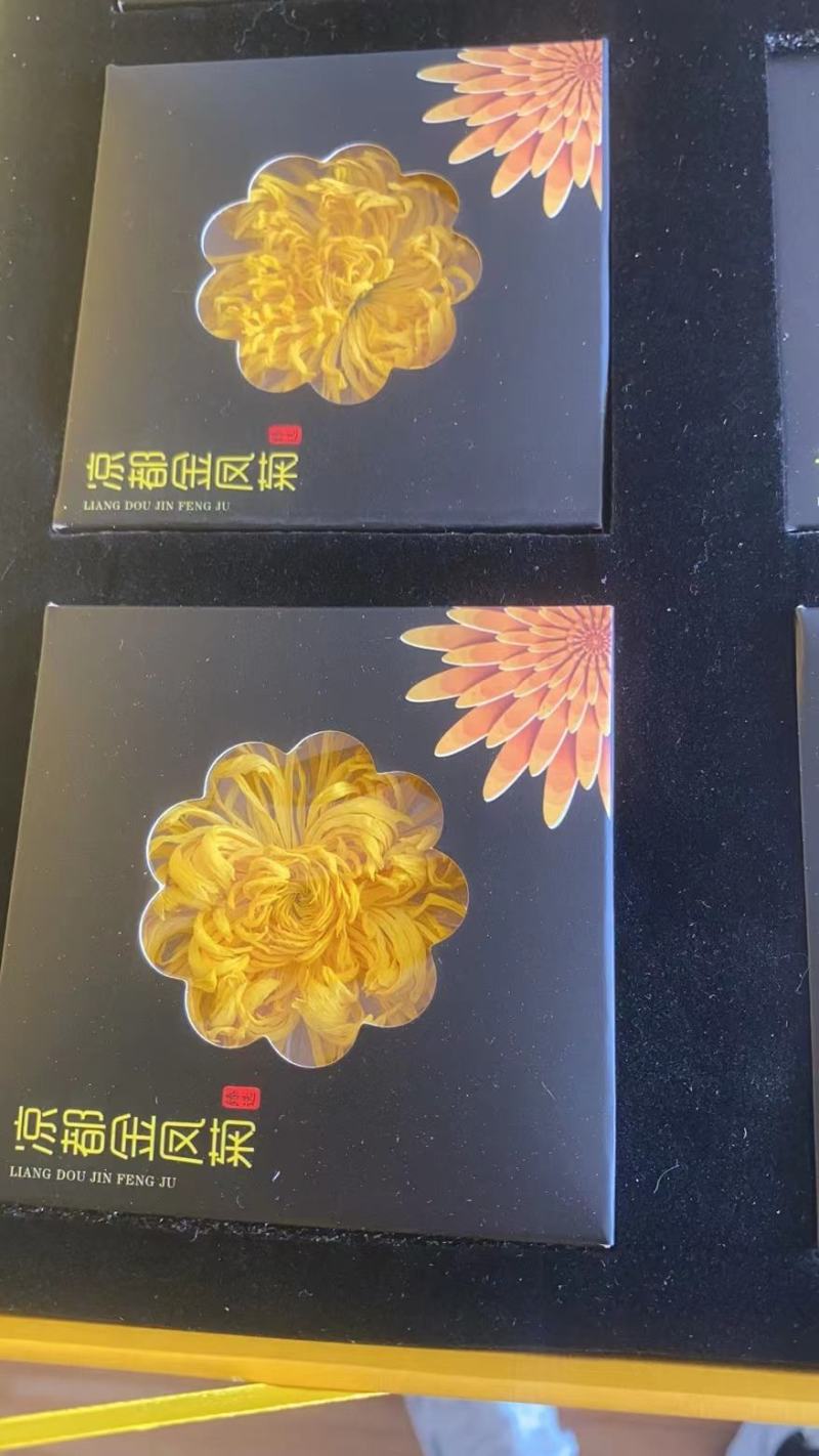 金丝皇菊
