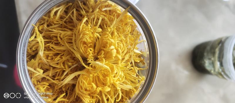 金丝皇菊