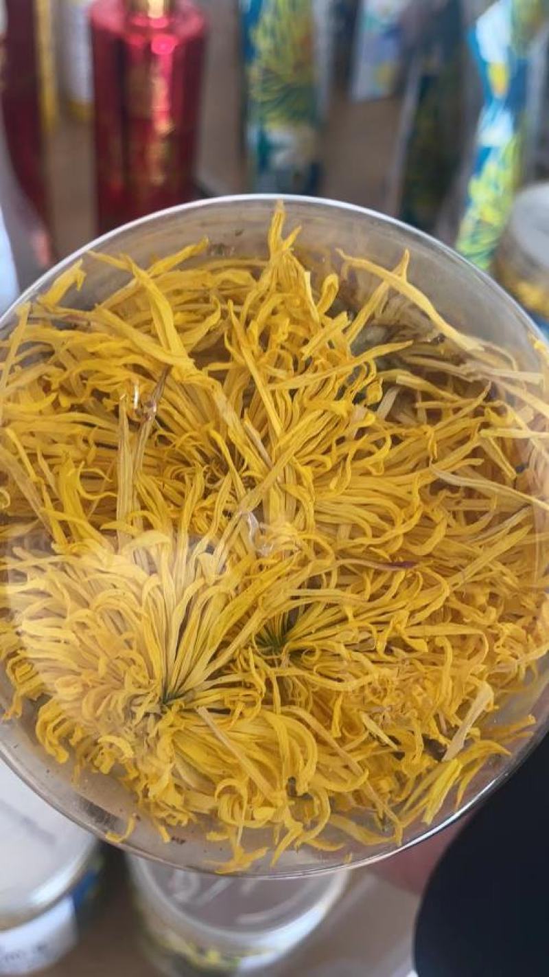 金丝皇菊