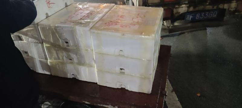 湖南株洲自养殖10万斤优质青蛙黑斑蛙田鸡