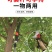 新款高枝锯树神器园林果树枝加长伸缩杆多功能不锈钢高枝锯树