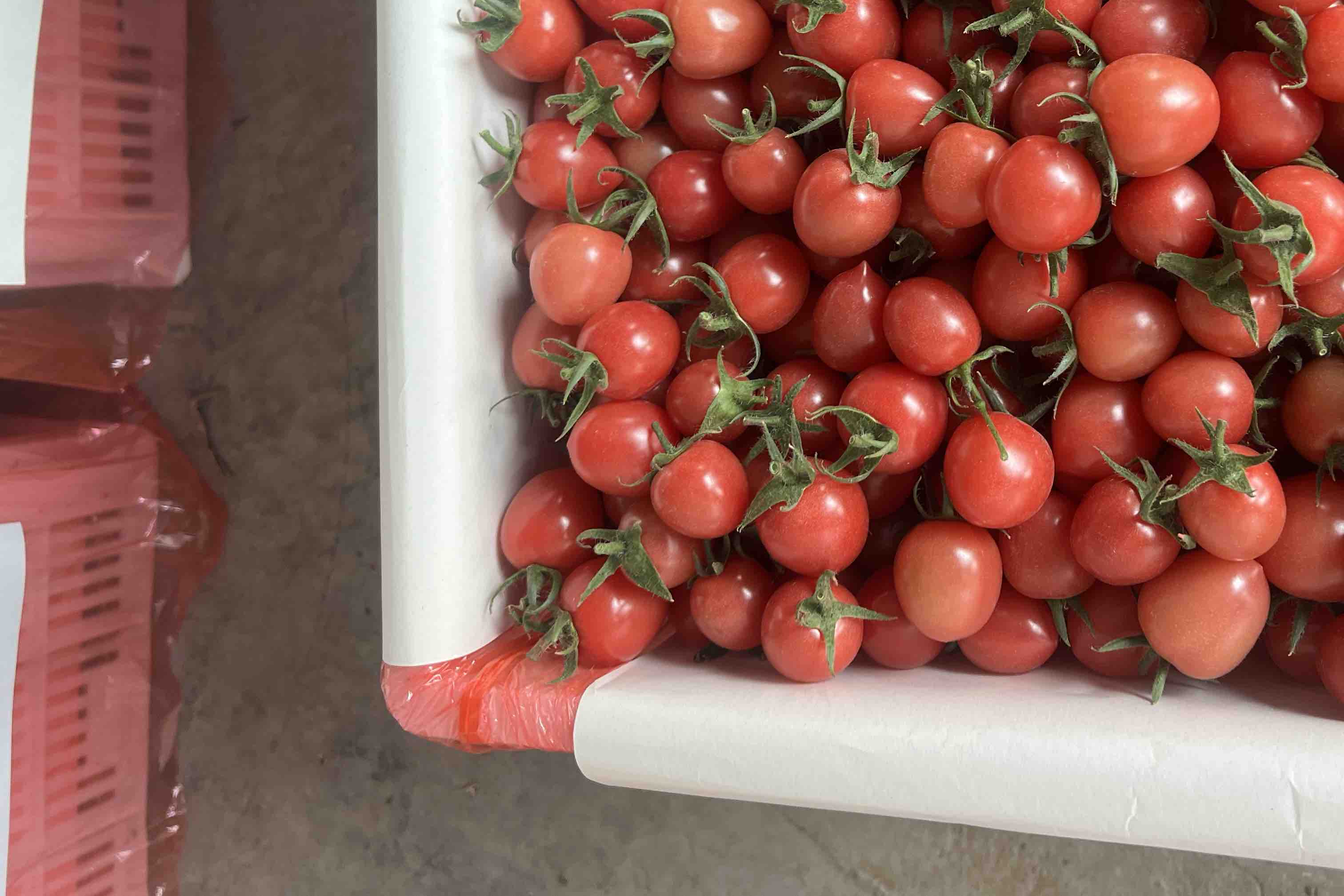 爱媛橙果肉沙拉成品图