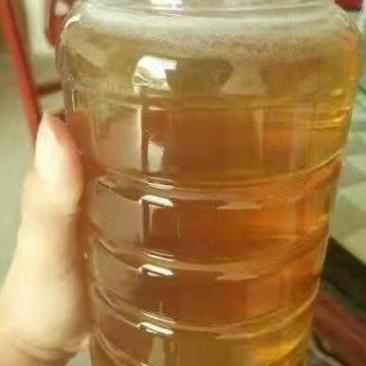 江西吉安深山蜂巢蜜野生纯正蜜巢天然农家自产成熟土蜂蜜