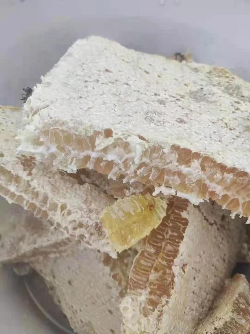 江西吉安深山蜂巢蜜野生纯正蜜巢天然农家自产成熟土蜂蜜