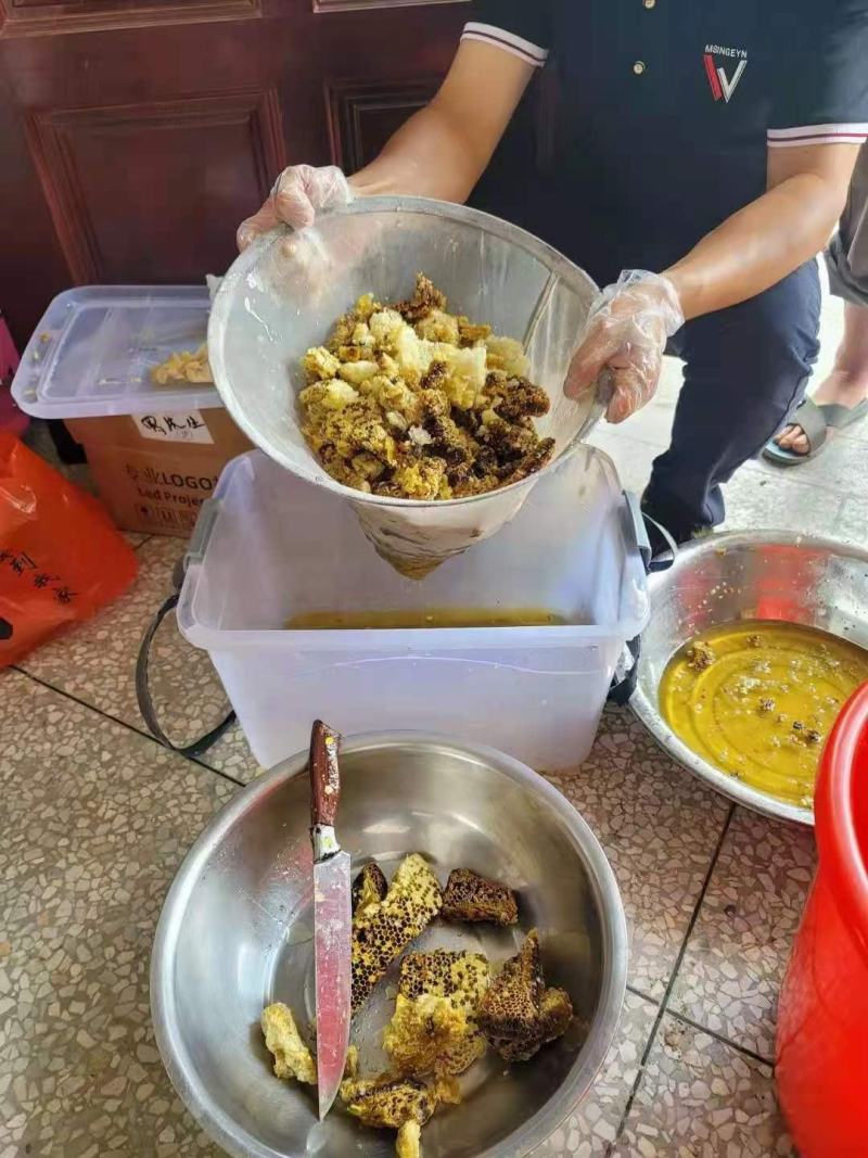 江西吉安深山蜂巢蜜野生纯正蜜巢天然农家自产成熟土蜂蜜