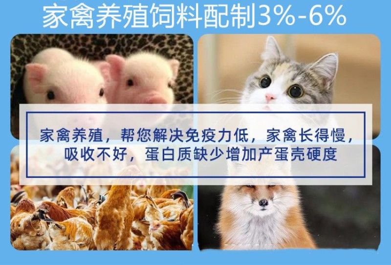秘鲁进口蒸汽鱼粉包邮乡镇鸡鸭鹅牛猪羊等家禽饲料鱼蟹水产