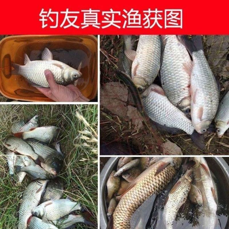 纯虾粉浓腥鱼饵料南极磷虾粉野钓鲫鱼鲤鱼饵料钓鱼小药鱼饵