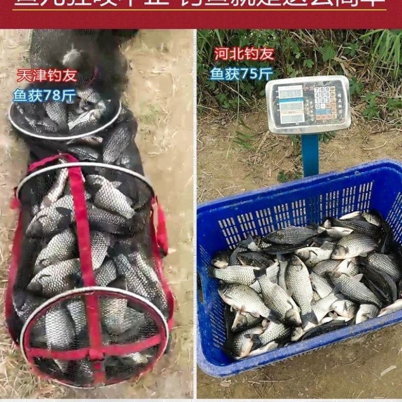 纯虾粉浓腥鱼饵料南极磷虾粉野钓鲫鱼鲤鱼饵料钓鱼小药鱼饵
