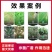 乙蒜素80%高含量青苔病黑斑病炭疽病白粉病
