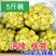 涪陵榨菜，只做批发，涪陵发货，原形原汁原味5～9斤装