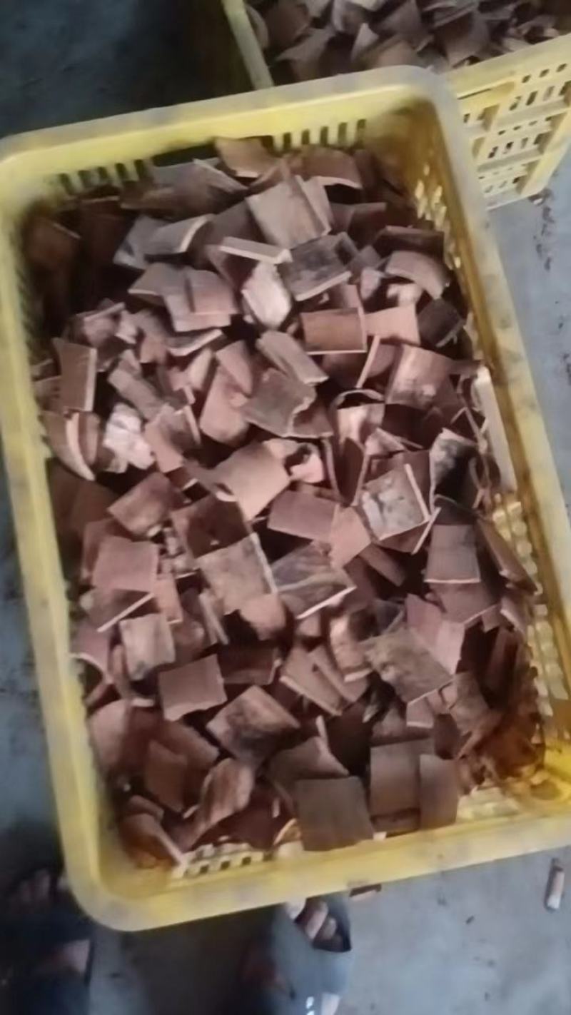 烟桂