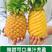 香水菠萝产地一手货源，支持发货，量大从优，欢迎订购