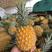 香水菠萝产地一手货源，支持发货，量大从优，欢迎订购