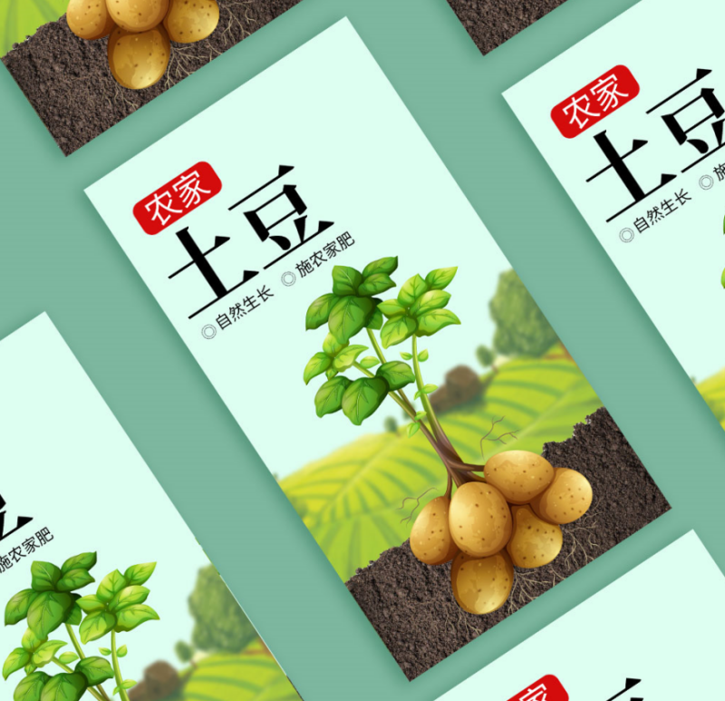 果蔬干果海鲜超市价签印刷