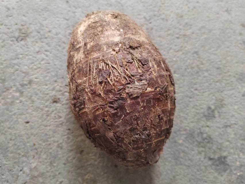 新鲜芋头的特写照片,展示其细腻的质地与自然的颜色 芋头特写